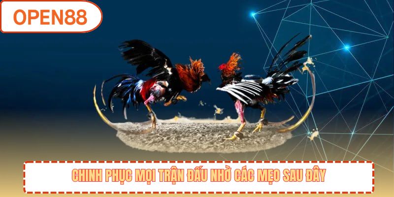 Chinh phục mọi trận đấu nhờ các mẹo sau đây